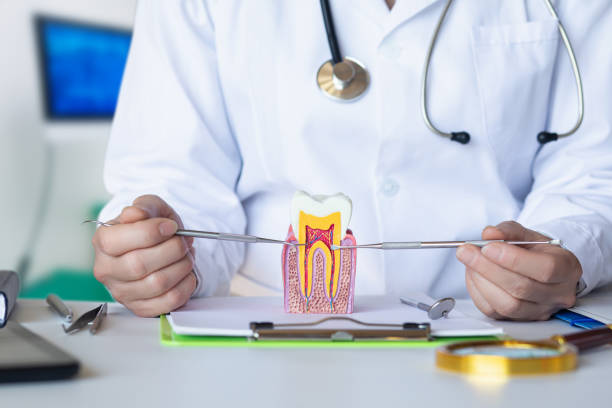 Best Weekend Emergency Dentist in City View, SC